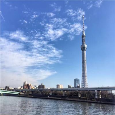 森林连连击游戏下载